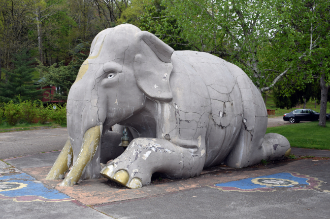 Hare Krishna elephant